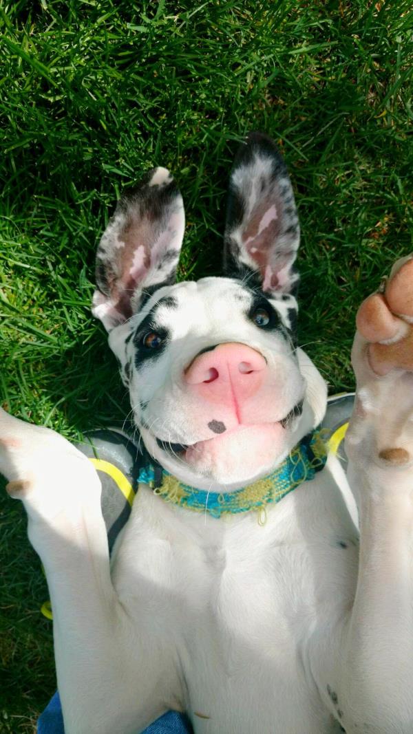 /Images/uploads/Humane Society of Utah/HSUCalendar/entries/1104thumb.jpg
